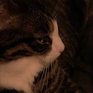 Meet your Posher, Caroline